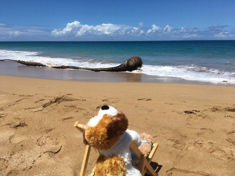 Guadeloupe - February 2019